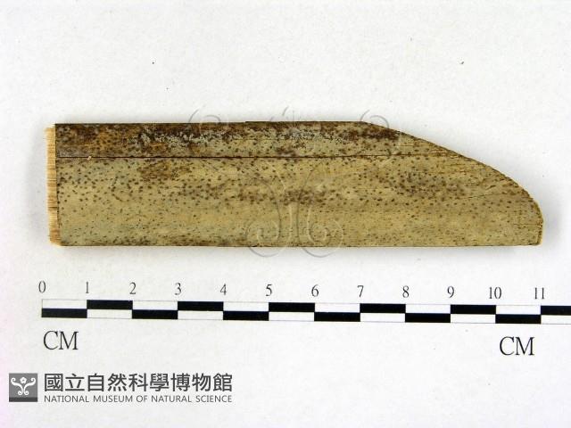 登錄號:F0022176藏品圖，第1張