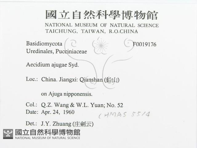 登錄號:F0019176藏品圖，第3張