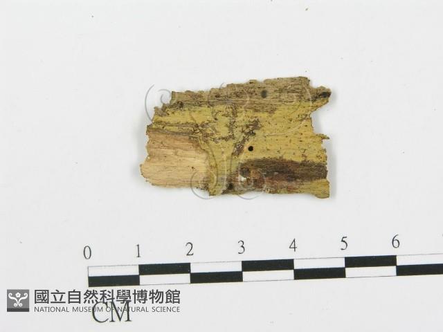 登錄號:F0003176藏品圖，第1張