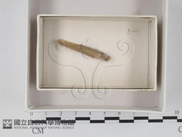 登錄號:F0018076藏品圖，第1張