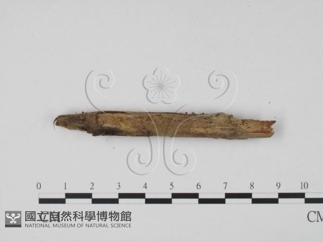 登錄號:F0020076藏品圖，第1張