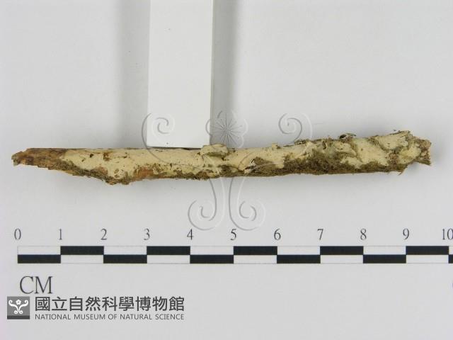 登錄號:F0001076藏品圖，第1張
