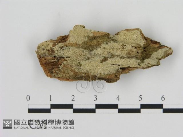 登錄號:F0012076藏品圖，第1張