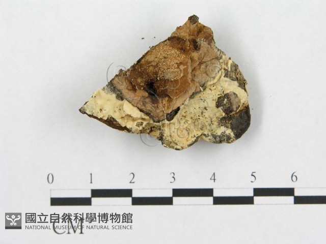 登錄號:F0007076藏品圖，第1張