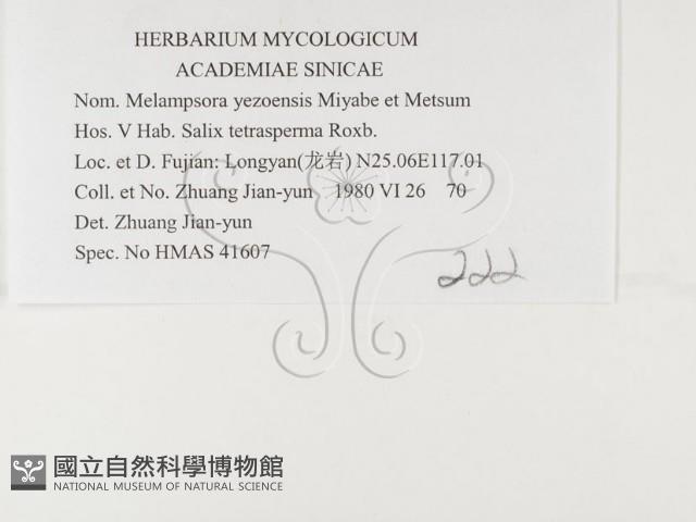 登錄號:F0026376藏品圖，第3張