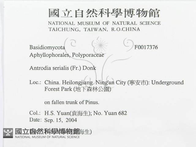 登錄號:F0017376藏品圖，第3張