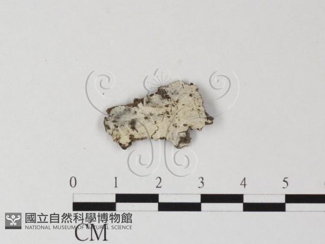 登錄號:F0025376藏品圖，第1張