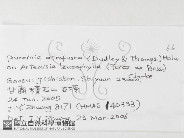 登錄號:F0026261藏品圖，第3張