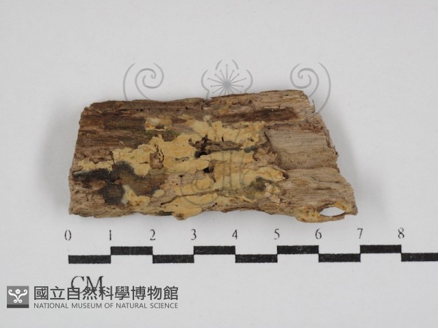 登錄號:F0030861藏品圖，第1張