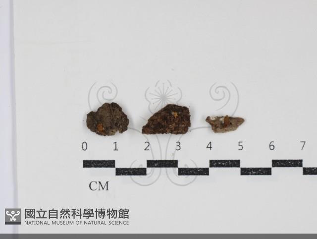 登錄號:F0034861藏品圖，第1張