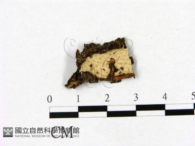 Accession Number:F0007861 Collection Image, Figure 1, Total 2 Figures