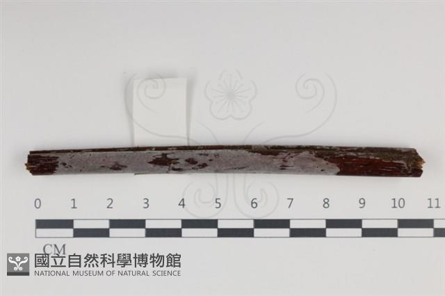 登錄號:F0034961藏品圖，第1張