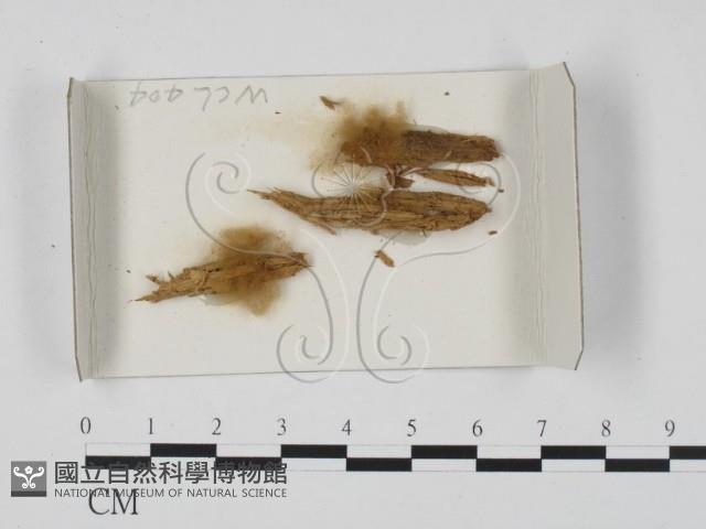 登錄號:F0018661藏品圖，第1張