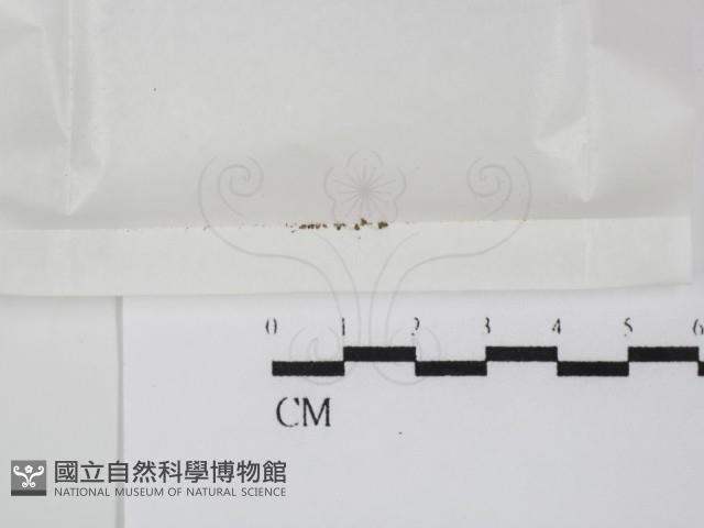 登錄號:F0000661藏品圖，第1張