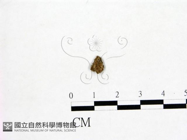 登錄號:F0001661藏品圖，第1張