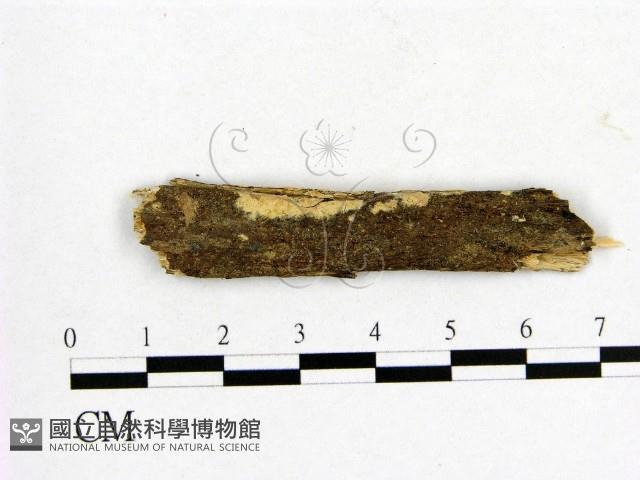 登錄號:F0007661藏品圖，第1張