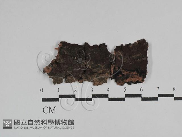 登錄號:F0029661藏品圖，第1張