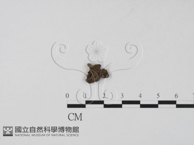 登錄號:F0019661藏品圖，第1張