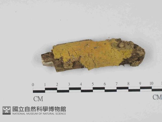 登錄號:F0023661藏品圖，第1張