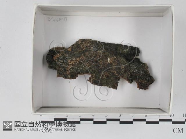 登錄號:F0018461藏品圖，第1張