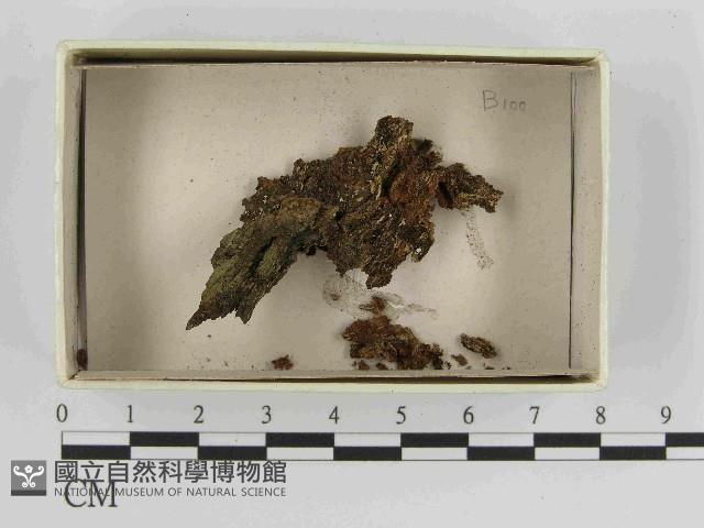 登錄號:F0021461藏品圖，第1張