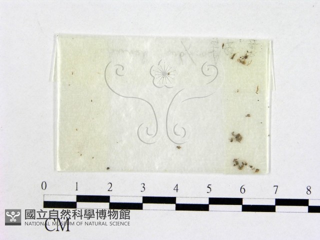 登錄號:F0004461藏品圖，第1張