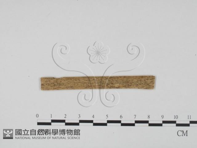 登錄號:F0011761藏品圖，第1張