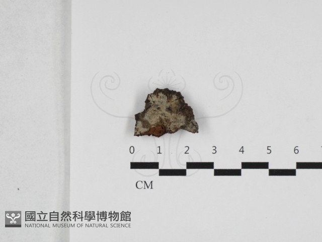 登錄號:F0032761藏品圖，第1張