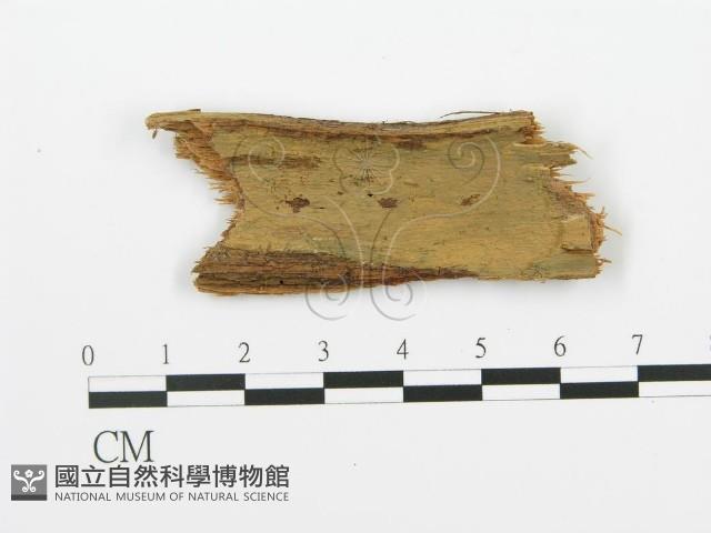 登錄號:F0017761藏品圖，第1張