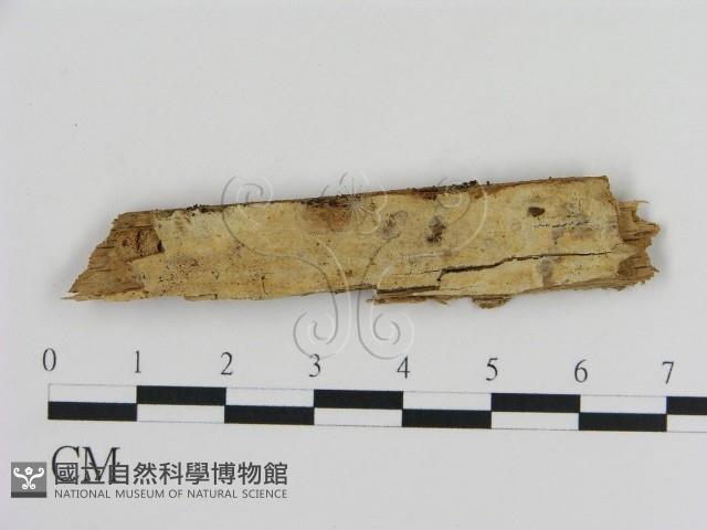 登錄號:F0015761藏品圖，第1張