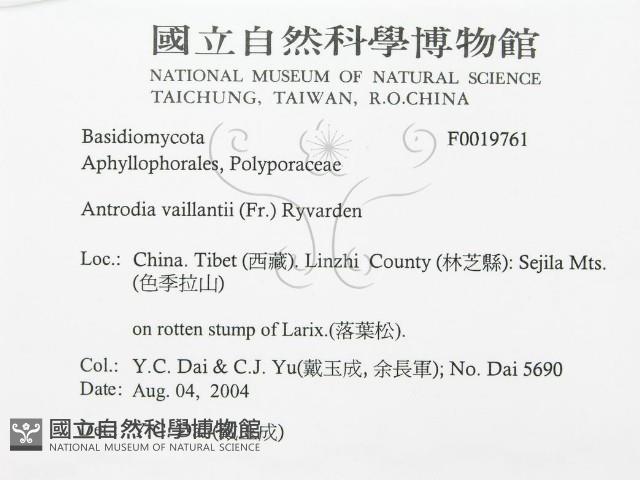 登錄號:F0019761藏品圖，第3張