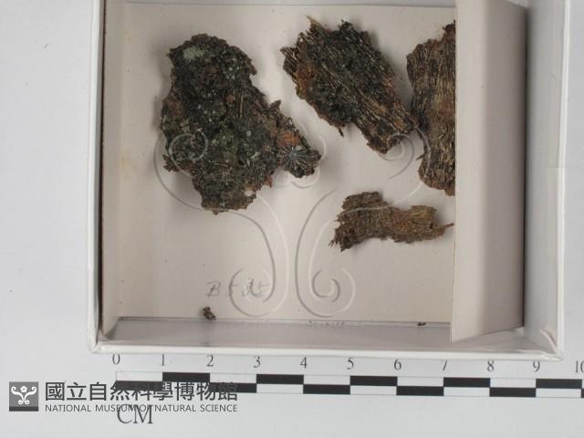 登錄號:F0018561藏品圖，第1張