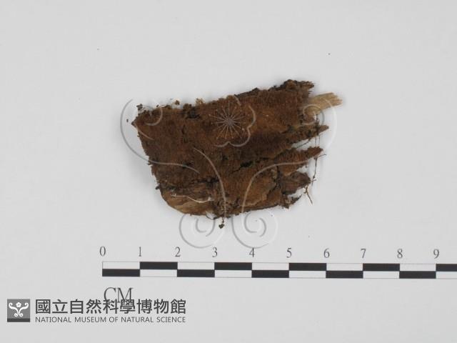 登錄號:F0008161藏品圖，第1張