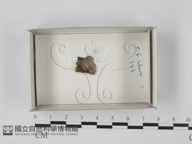 登錄號:F0018161藏品圖，第1張