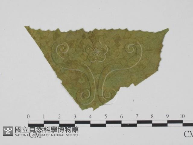 登錄號:F0010161藏品圖，第1張