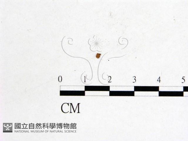 登錄號:F0001161藏品圖，第1張