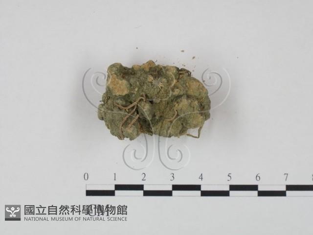 登錄號:F0002161藏品圖，第1張