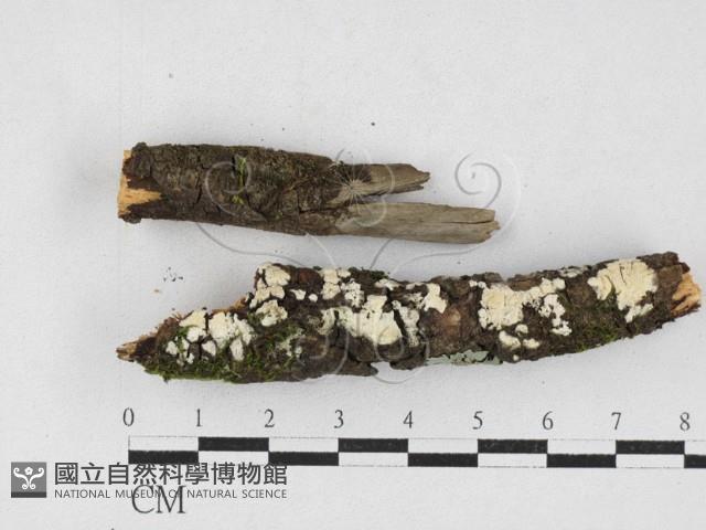 登錄號:F0027161藏品圖，第1張