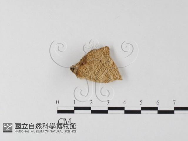 登錄號:F0014061藏品圖，第1張