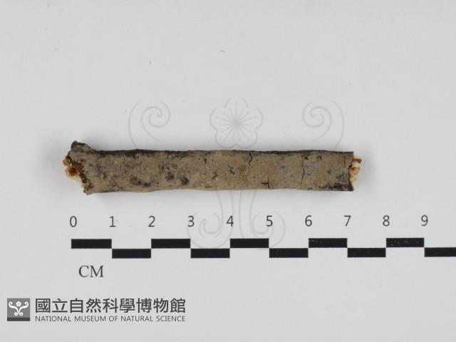 登錄號:F0033061藏品圖，第1張