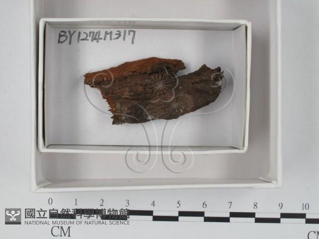 登錄號:F0018361藏品圖，第1張