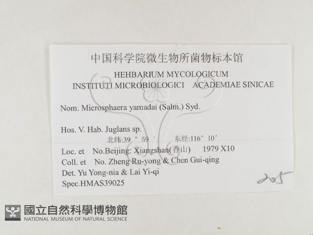 登錄號:F0026361藏品圖，第3張