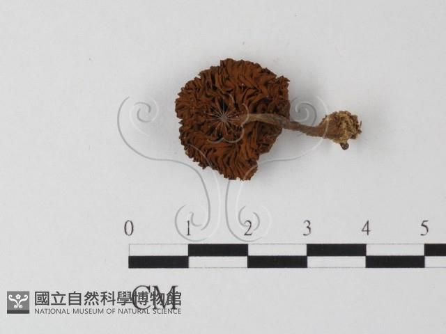 登錄號:F0023361藏品圖，第1張