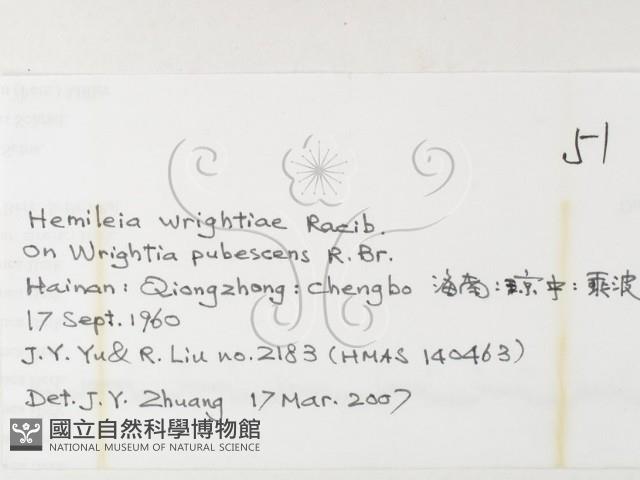 登錄號:F0026221藏品圖，第3張