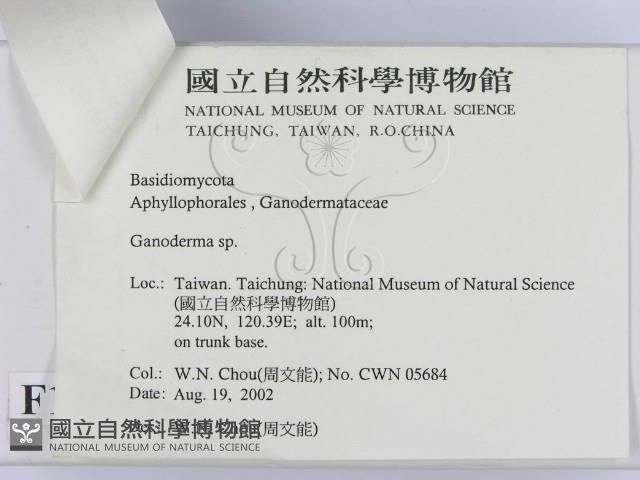 登錄號:F0016221藏品圖，第3張