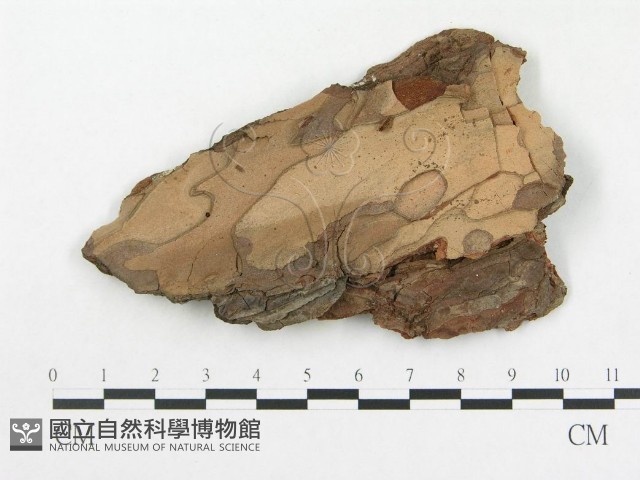登錄號:F0015221藏品圖，第1張