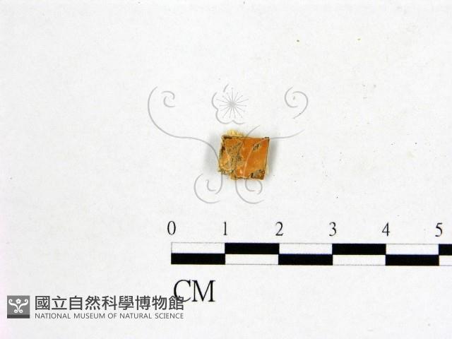 登錄號:F0017821藏品圖，第1張