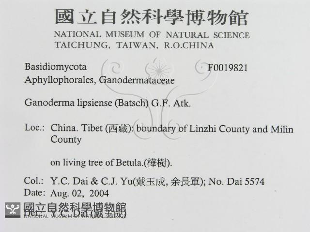 登錄號:F0019821藏品圖，第3張