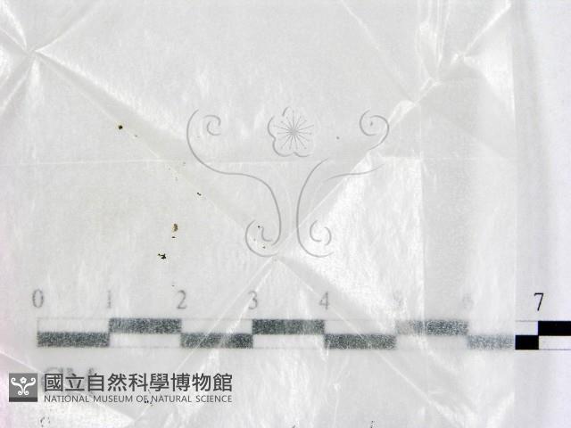登錄號:F0001921藏品圖，第1張