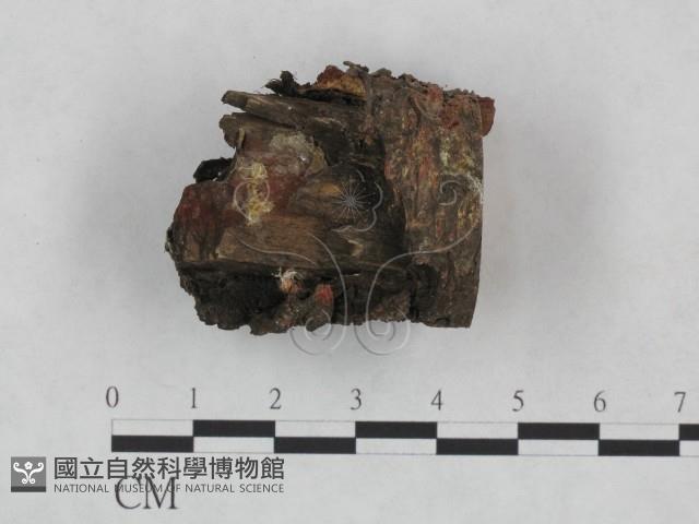 登錄號:F0024921藏品圖，第1張